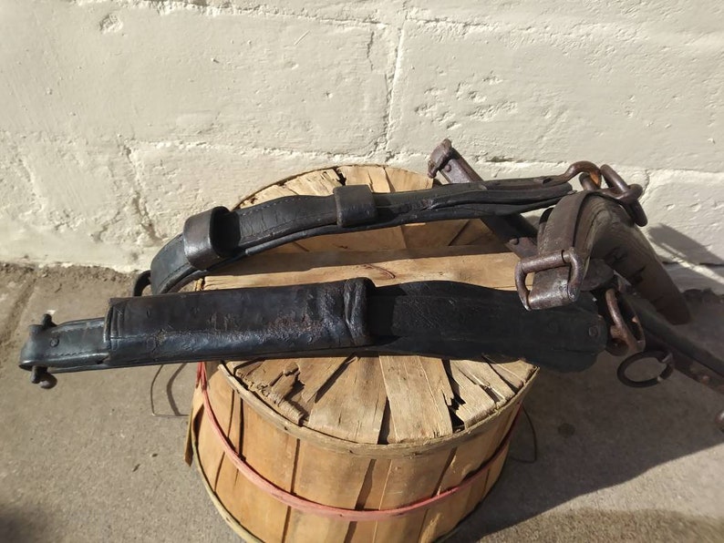 Vintage Horse Harness Hames Refinished Etsy