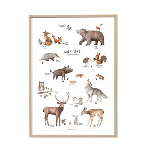 Waldtiere Kunstdruck Poster; Geschenkidee Kinder