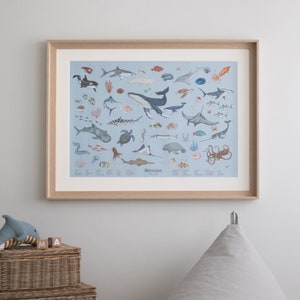Póster grande de criaturas marinas, 60 x 80 cm, póster educativo, regalo para niños y niñas, escuela.