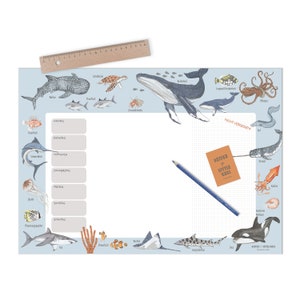 Sous-main/agenda semainier animaux marins, rentrée scolaire, idée cadeau garçons filles