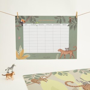 Horaire Animaux de la Jungle ; école primaire, cône d'école, rentrée scolaire