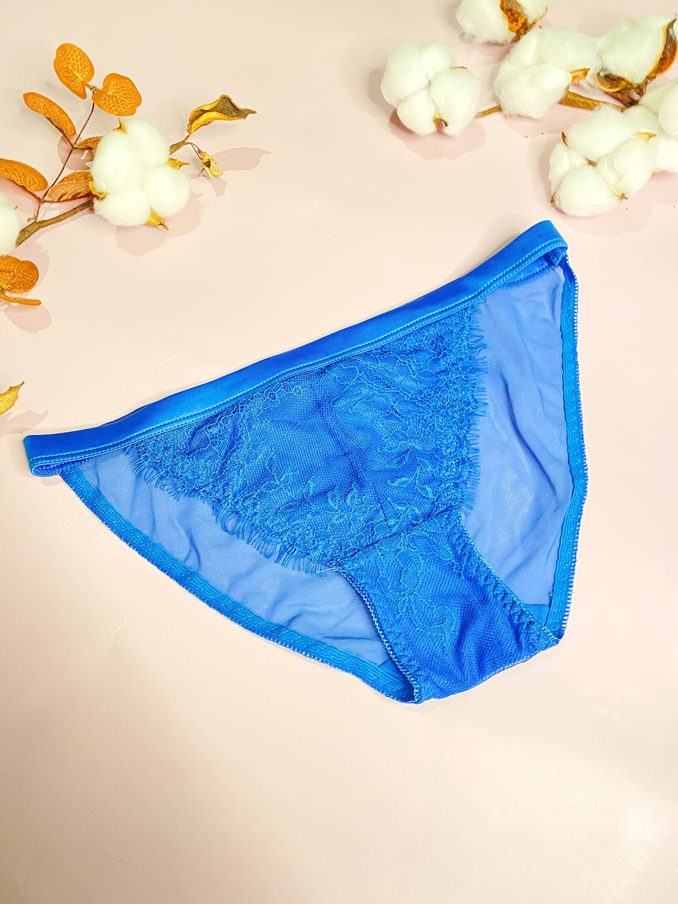 Blue Deva Brief Panty With Sheer back And Lace Detailing / | Etsy
