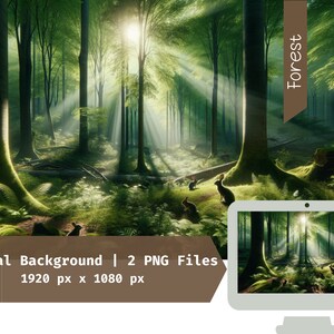 May include: A virtual background image of a sunlit forest with a path leading through the trees. The image is 1920 pixels wide by 1080 pixels tall and is available as two PNG files. The text "Forest" is displayed in a brown banner in the upper right corner of the image.