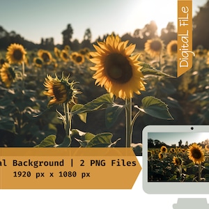 Sunflower Field Virtual Background, Zoom Virtual Background, Teams, Work from Home, Twitch Banner, Digital Wallpaper Instant Download PNGs
