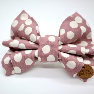 The Molly dog bow