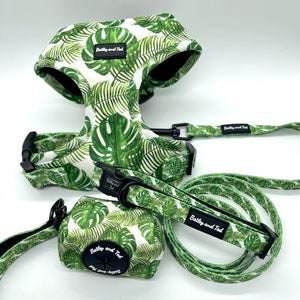 Dog walking harness set/ The Tropical Tilly neoprene dog harness set