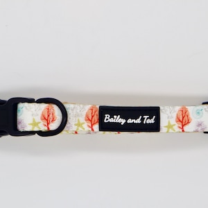 The Shelly Sea dog collar