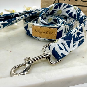 Dog lead/leash. The Mr Darcy dog lead/ leash