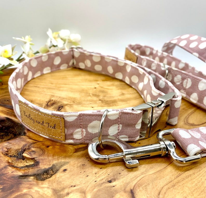 The Molly dog leadleash