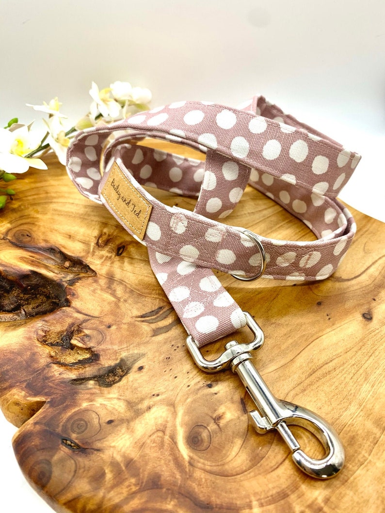 The Molly dog leadleash
