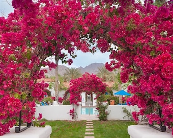 Artificial Bougainvillea Garland 180 cm, Faux Bougainvillea Flower Garland, Bougainvillea Flower Indoor, Outdoor