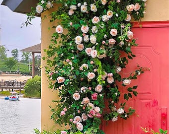 Multi-colored rose canes,Simulated roses, flower walls, decorative flower vines, door vines, party holiday wedding decorations