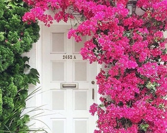 Party Decorations,Artificial Bougainvillea Garland, High quality arch artificial bougainvillea flower trees,arch decoration, door decoration