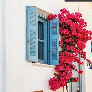 Best Outdoor Decorations, Artificial Bougainvillea Wall Decorations UV-Resistant Outdoor Decorations Large-Scale Shopping Mall