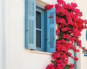 Best Outdoor Decorations, Artificial Bougainvillea Wall Decorations UV-Resistant Outdoor Decorations Large-Scale Shopping Mall