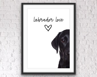 labrador decorative items