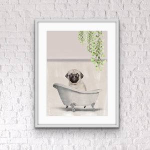 May include: A beige pug dog sits in a white porcelain bathtub with four feet. The bathtub is on a light pink background with a green vine hanging from the top of the image.