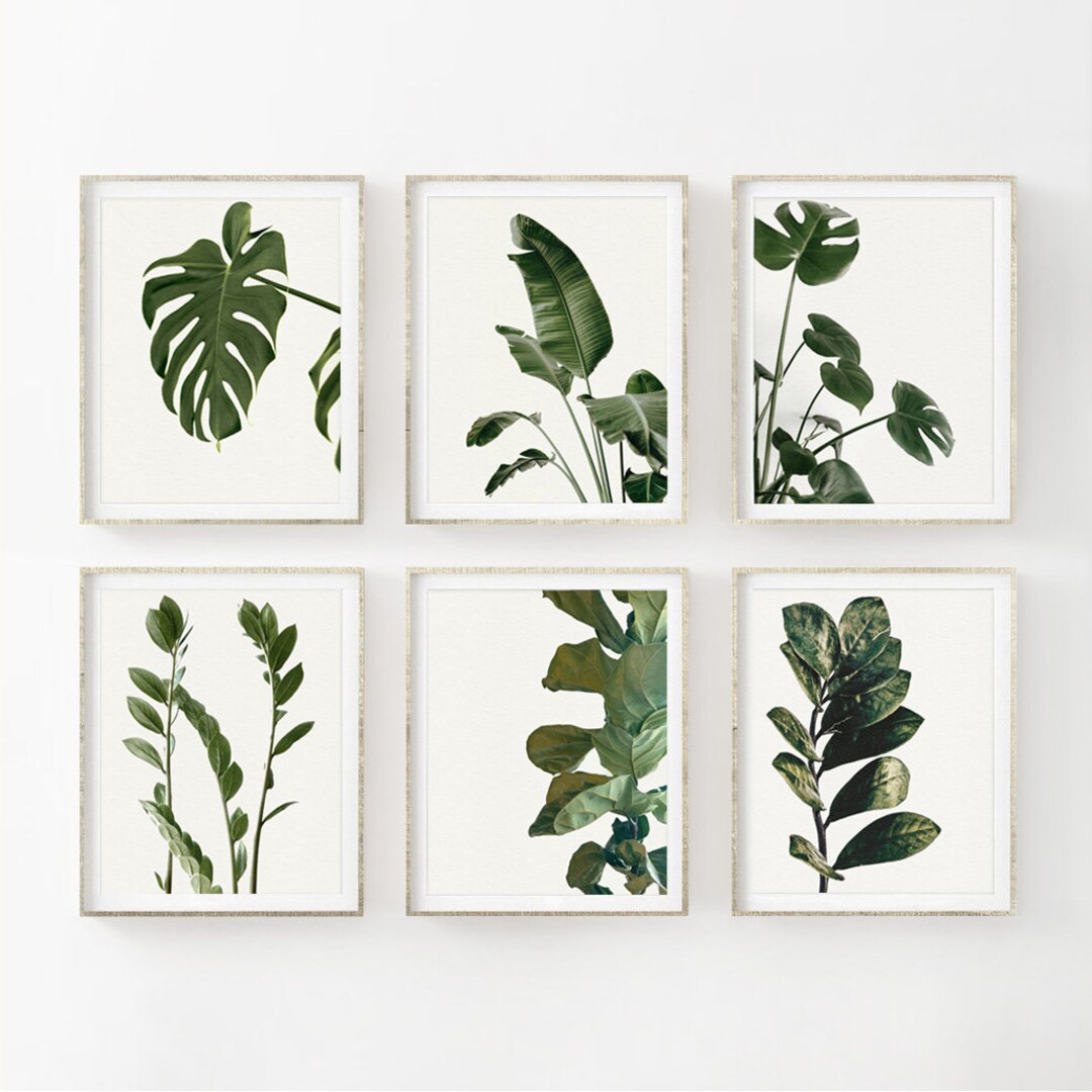 Set of 6 Houseplant Leaf NEW Boho Botanical Tropical Leaves Wall Art ...