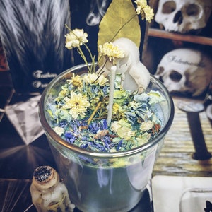 May include: A teal green candle with dried flowers and herbs in a clear glass jar. The candle is surrounded by tarot cards with the words "Smoke", "Bones", "Bridge", and "Hour" visible.