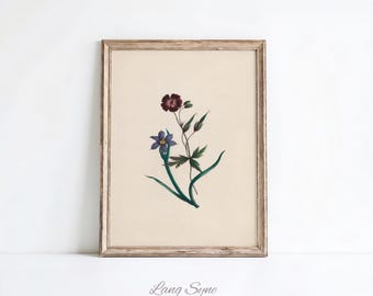 Vintage Wildblumen Botanische Aquarell Druck - Cottagecore Bauernhaus Kunst (Digitaler Download)