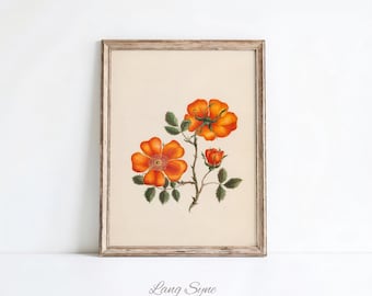 Vintage Wild Rose Botanical Print – Cottagecore Flower Wall Art (Digital Download)