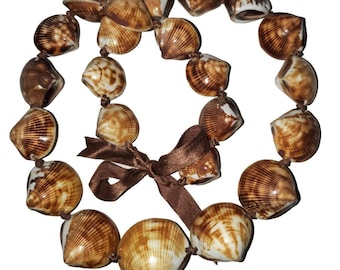 Brown Clam Shell Hawaiian Lei 30-inches