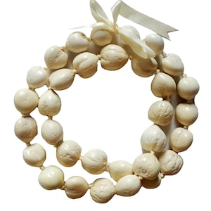 Native Lei Kukui Nut Lei Necklace Hawaiian Wedding Luau Graduation – Basic Colors ...