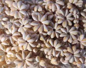 Loose Cowrie Shell Rings Hawaii Wholesale