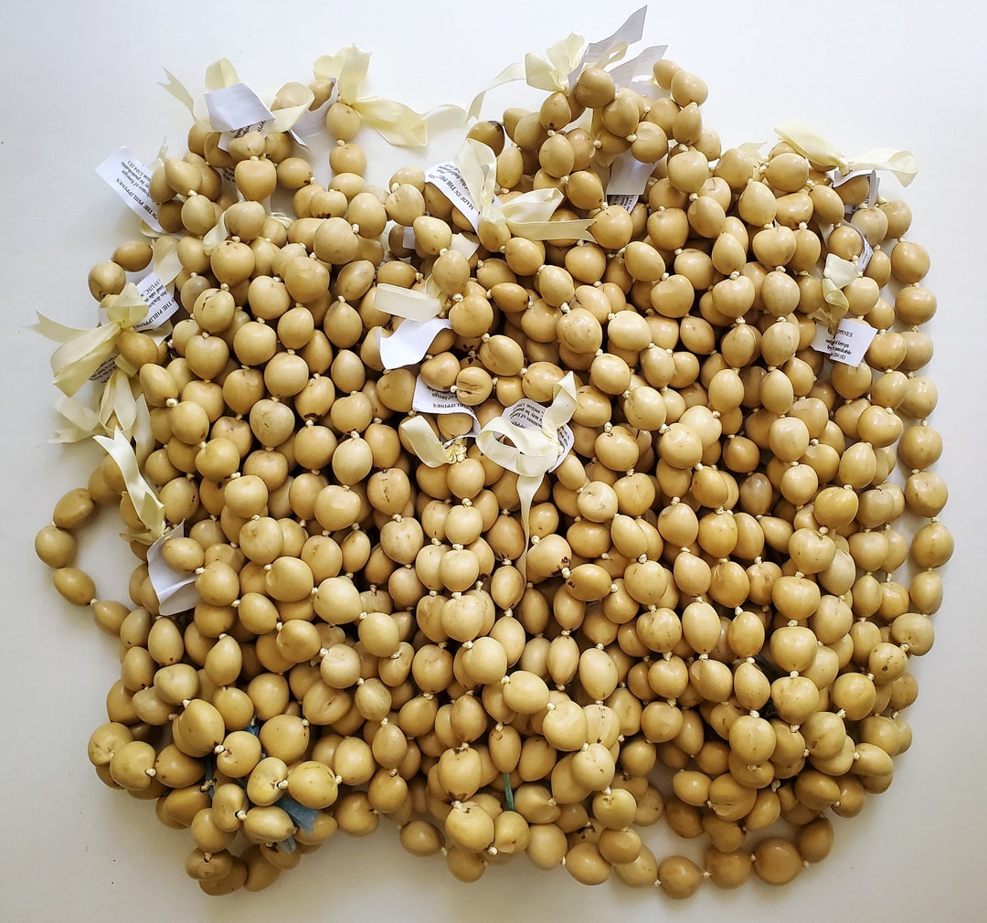 30 Pcs 32 Basic Colors Kukui Nut Necklace Lei Wholesale Etsy