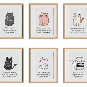6 cat wisdoms: Funny sayings for your wall