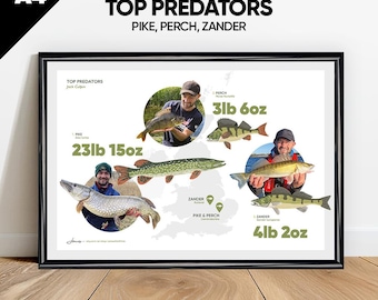 Lámina personalizada de pesca de depredadores: arte de lucio, perca y lucioperca, regalo personalizado para pescadores, arte mural de pesca, decoración de pescador, póster de pez depredador