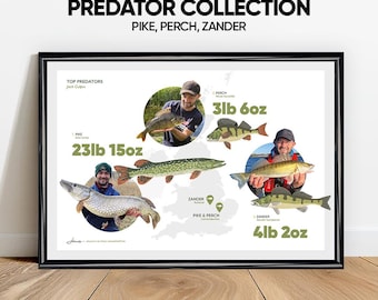 Personalised Predator Fishing Print – Pike, Perch & Zander Art, Custom Angler Gift, Fishing Wall Art, Fisherman Decor, Predator Fish Poster