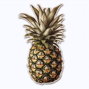 Ananas Sticker | Realistische Ananas Kunst | Ästhetischer Aufkleber | Laptop Aufkleber | 3 cm x 3 cm