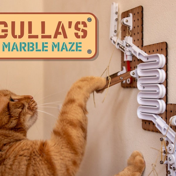 Marble Run Contraption for Cats | Rube Goldberg Machine | Interactive IQ Pet Training Device