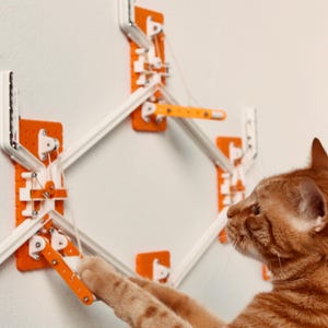 Peut inclure: Un jouet pour chat blanc et orange avec une ficelle attachée à une structure murale blanche et orange. Le chat joue avec le jouet.