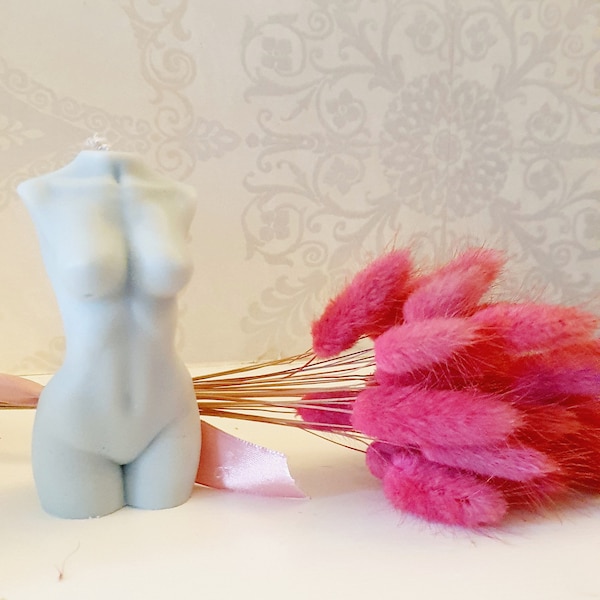 Deep Pink Bunny Tails | Lagurus Grass | Rabbit Tails | Dyed Bunny Tails | Dried Flowers | Interior Decoration | Home decor | Pink