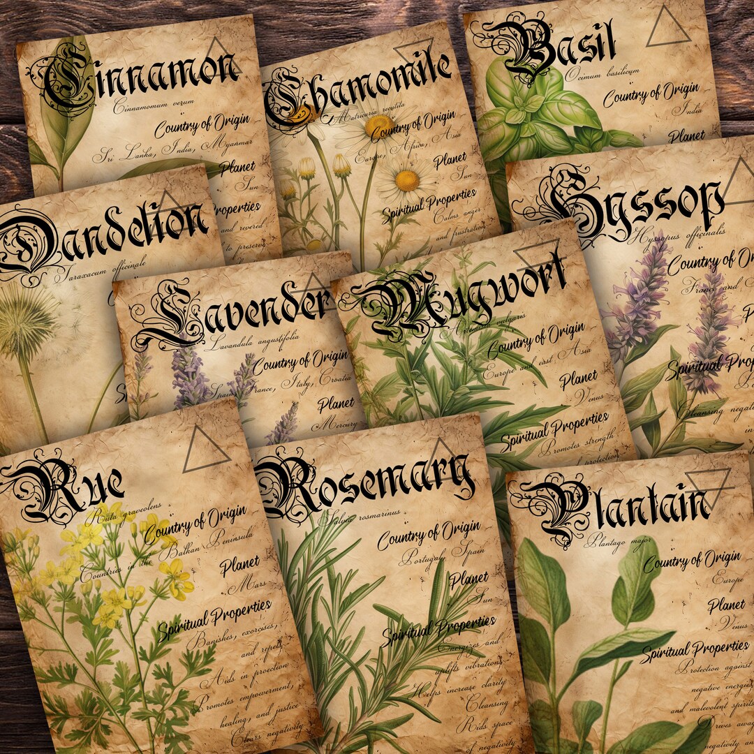 Herb Grimoire Pages Herbal Index Cards Journaling Cards Digital ...