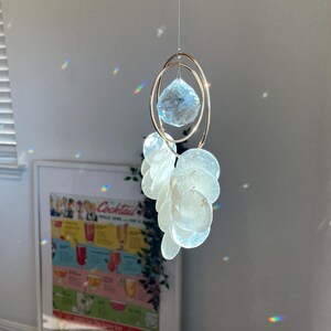 Shell Sun catcher | rainbow maker, Christmas gift, Gift for Mom, New house Gift, Anniversary Gift, Home decor, Mental Health  decor, Nursery