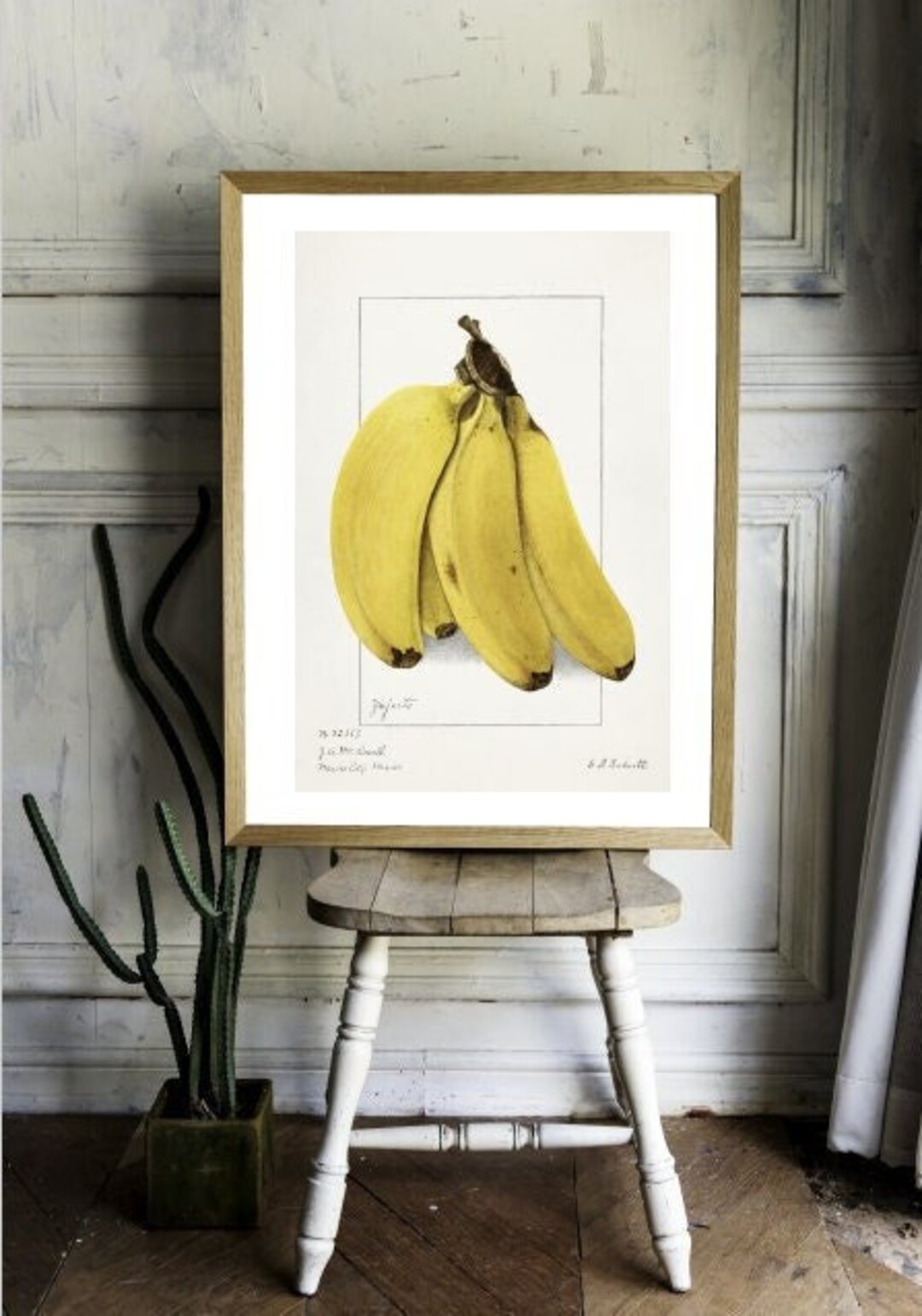 Vintage Banana Wall Art Print. Vintage Fruit Illustration Art. Ellen