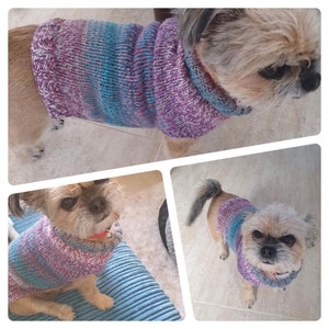 May include: A small dog wearing a purple and blue striped knitted sweater. The dog is looking at the camera.