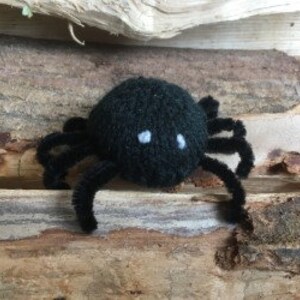 May include: A black knitted spider with pipe cleaner legs. The spider has two white eyes.
