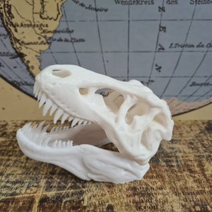 T Rex Skull