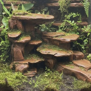 Pode incluir: Um terrário com uma formação rochosa castanha de vários níveis com superfícies planas tipo prateleira. A estrutura é rodeada por musgo verde e pequenas plantas de folha, com uma base de terra escura num recipiente de vidro transparente.