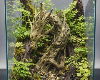 Può includere: Un terrario in vetro contenente una scultura centrale di un drago intagliata nel legno galleggiante, circondata da felci verdi vive, muschio e piccole piante grasse. La base è coperta da uno strato di piccoli ciottoli e terra scura.