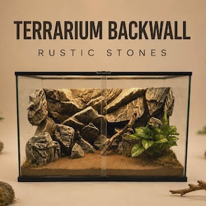 Può includere: Un terrario rettangolare in vetro con una parete posteriore strutturata dal design realistico in pietra rustica. L'interno contiene substrato marrone, una piccola pianta verde e un sottile ramo di legno. Il testo TERRARIUM BACKWALL RUSTIC STONES è visibile.