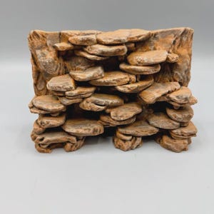 May include: A rectangular piece of driftwood featuring a dense, layered arrangement of flat, shelf-like protrusions. The wood displays a natural, weathered brown texture with visible grain patterns and organic, irregular shapes throughout the structure.