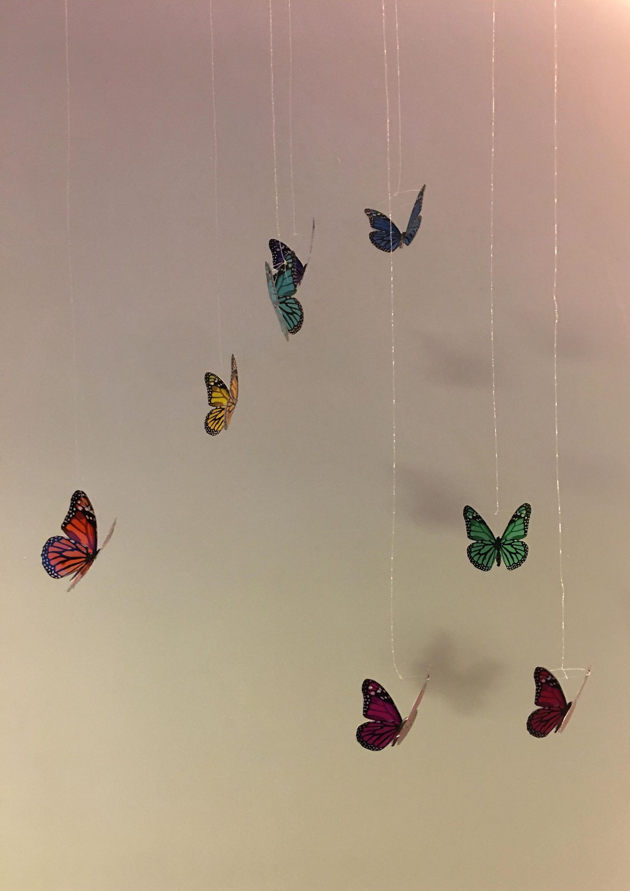 Aesthetic butterfly room decor Aesthetic teen vsco ceiling Etsy
