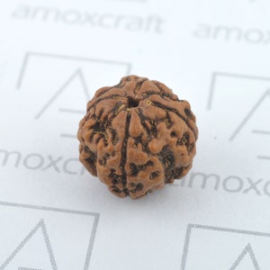 Natural & Certified 4, 5, 6 Mukhi/Face Rudraksha Loose Bead/Pendant Sterling Silver Astrology | Yoga | Healing