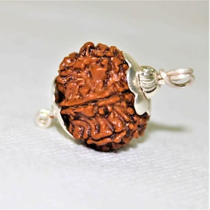 Natural Nepal Origin 7 | 8 | 9 Mukhi Rudraksha Pendant Silver Vedic Astrology | Yoga | Healing | Certified Seven Eight Nine Face Real Beads