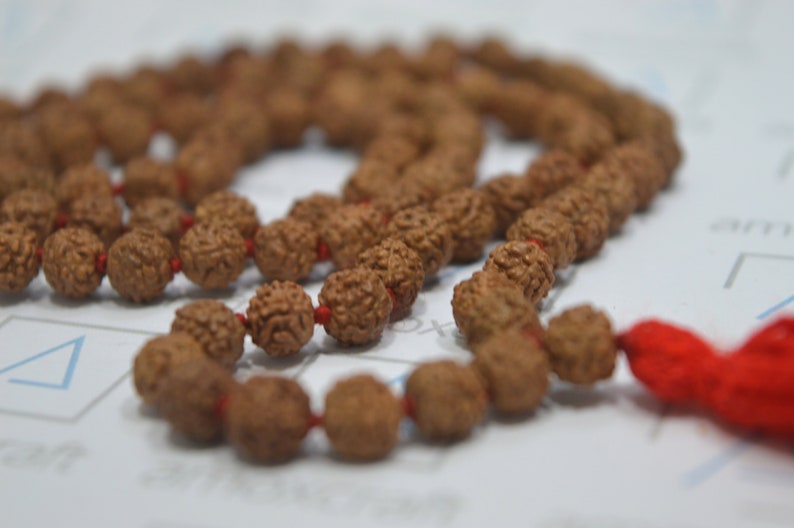 5 Rare Mukhi Face Rudraksha Outlet ☆ Free Shipping hand meditat beads 108+1 mala knotted